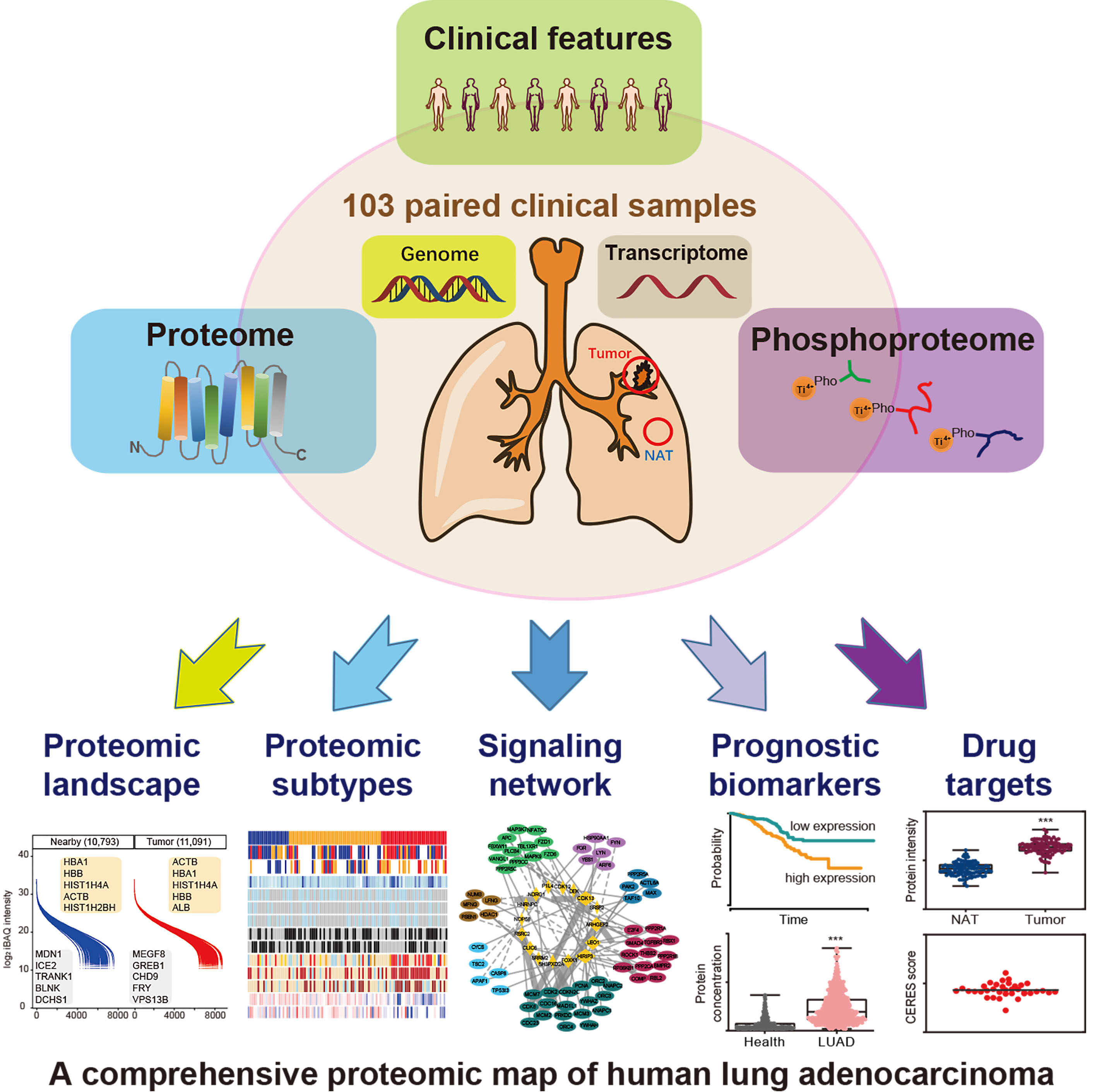 chinese-scientists-conduct-major-lung-cancer-analysis-newsletter